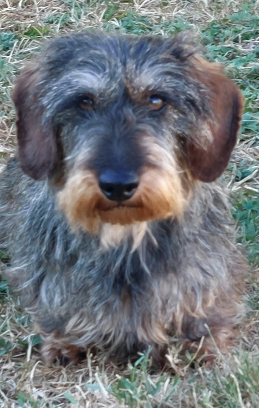 [Image: IMG-20250711-194915.jpg]