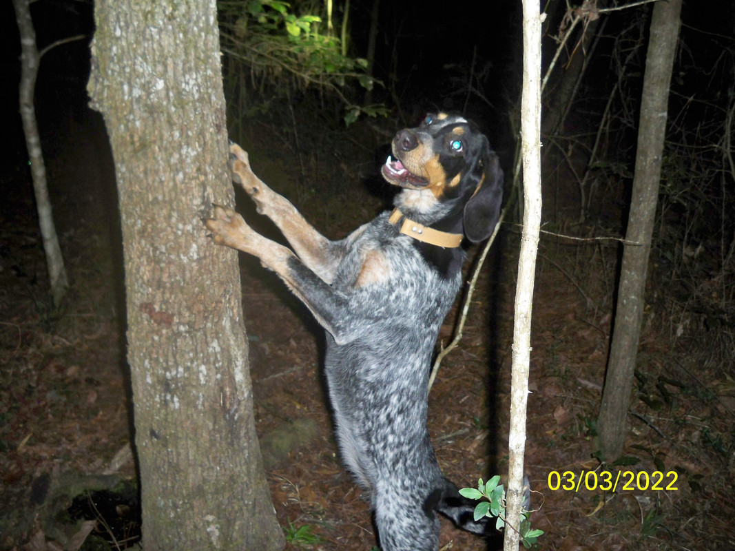 Winds first coon(d) 3-3-2022