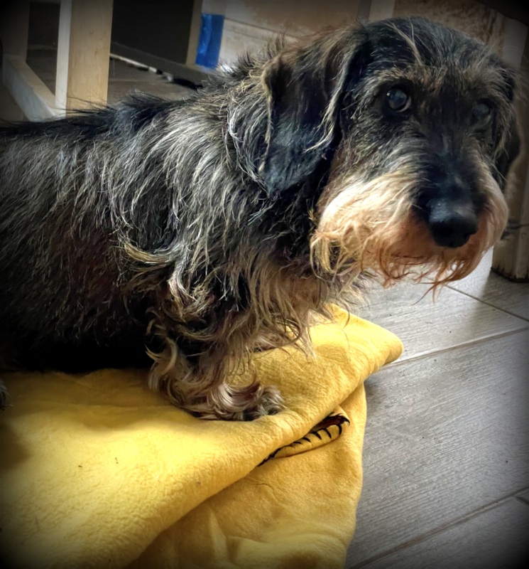 [Image: IMG-1341.jpg]