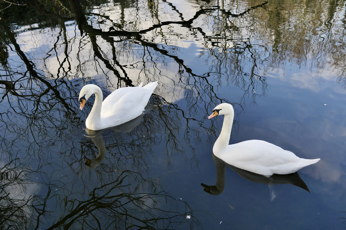 66C882C2-4784-49D2-B0D4-9B134818502E