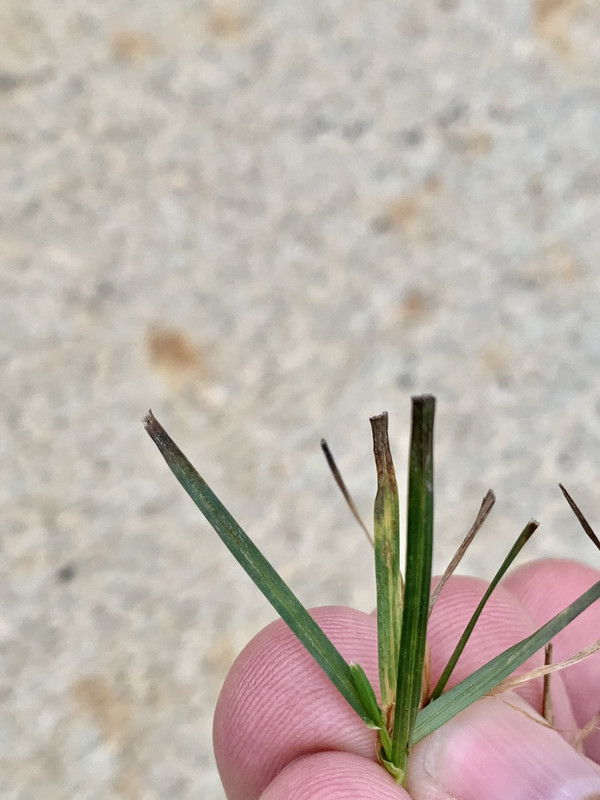 83048F1E-CD2C-4A2E-9339-CC41926BF508