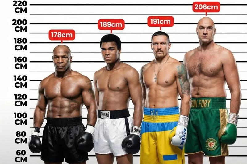 Има ли значение височината на боксьорите на ринга?