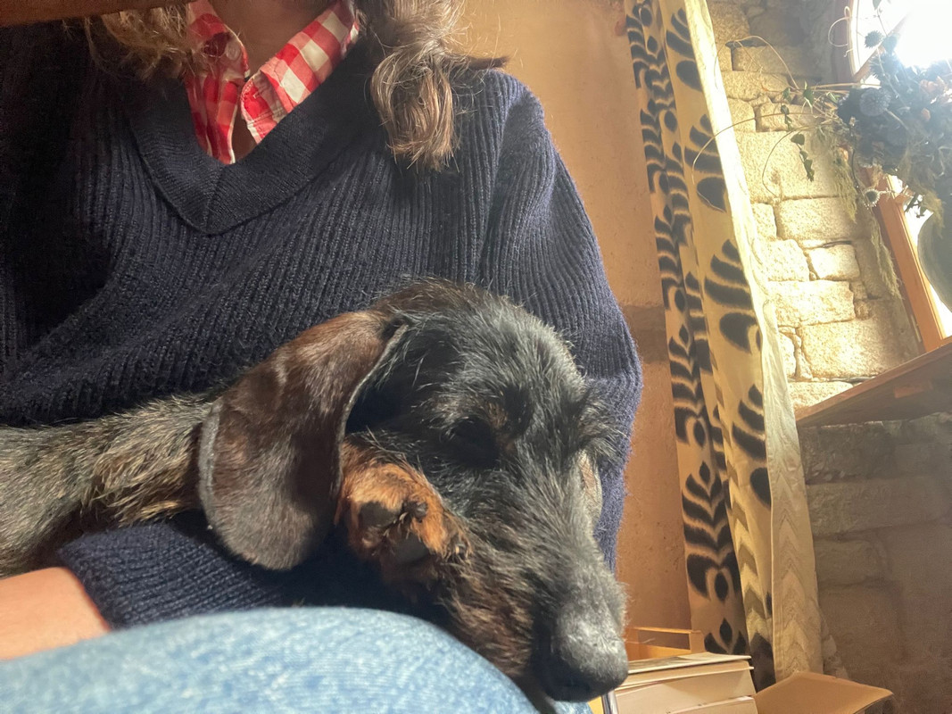 [Image: IMG-20230720-WA0003.jpg]