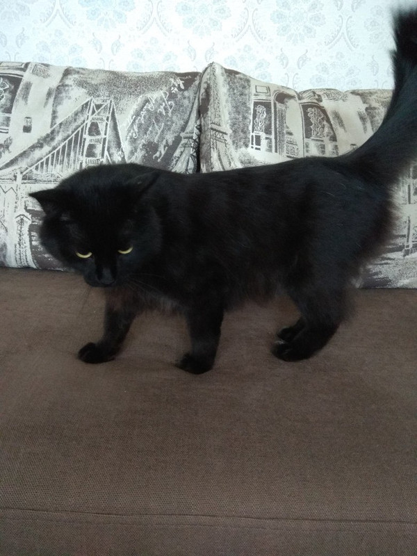 Боня у Жанны4