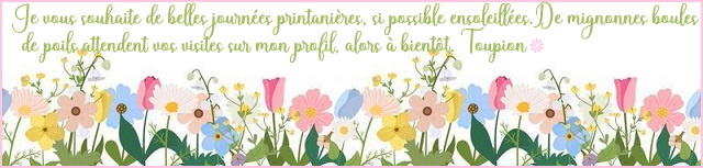 https://i.postimg.cc/MZFgTmv8/oui.jpg