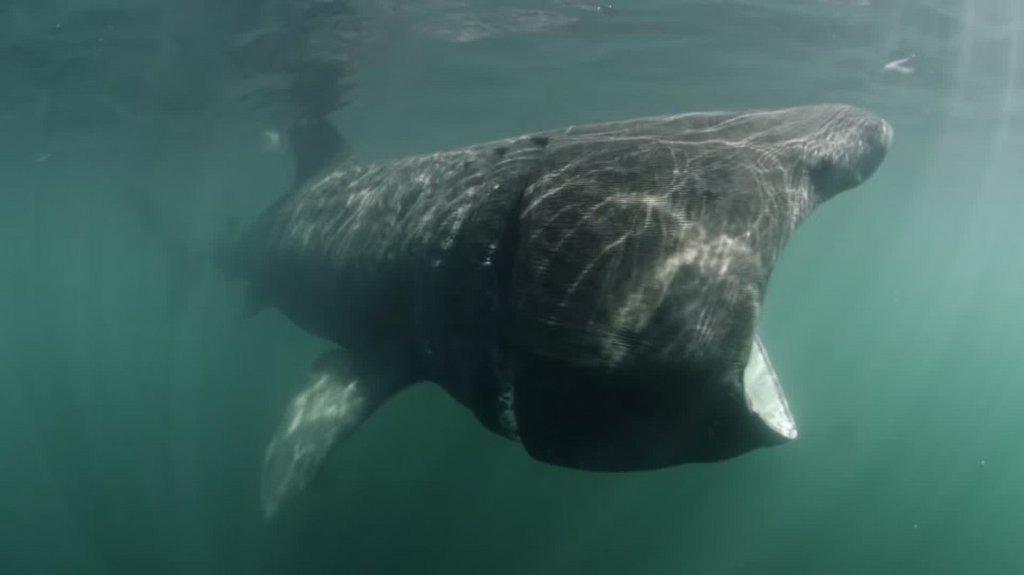 [Image: hk7po0j2e7az.jpg]