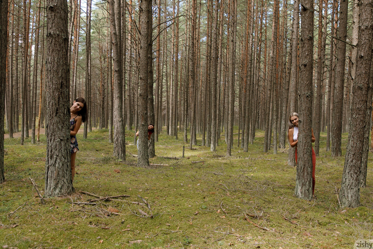 full_012_3907164514165645