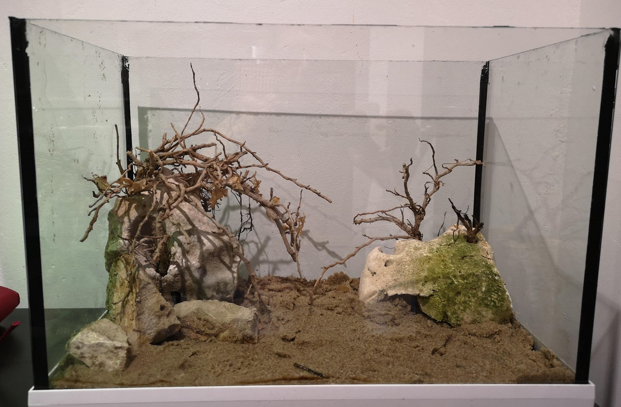 IMG_20190803_175521 (2)