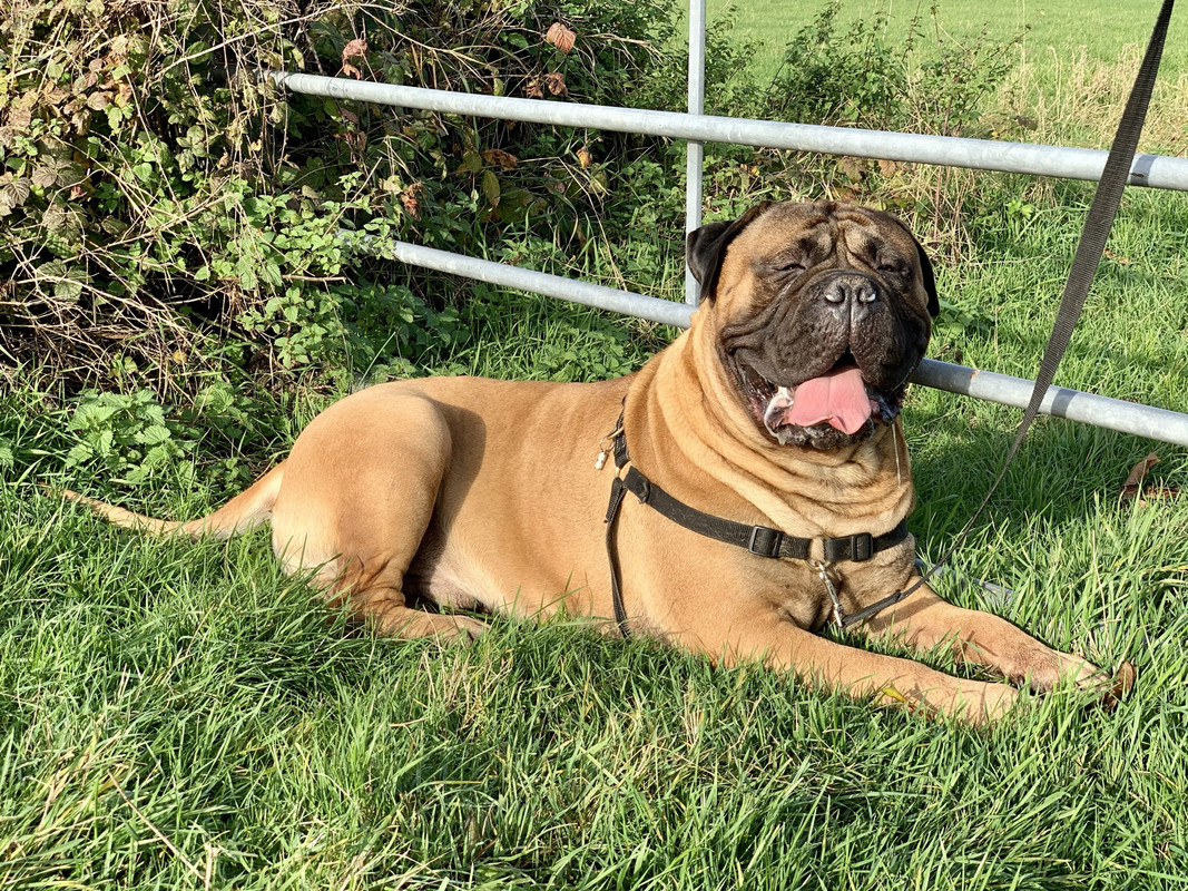 8D3A7B35-C82C-4E0F-B229-EC5ADD3CE044