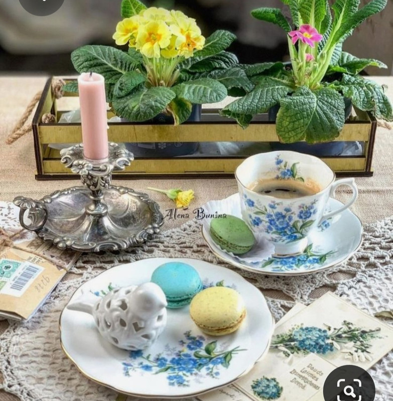 Screenshot_20230312_013403_Pinterest