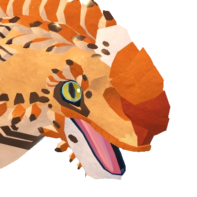 Buukon