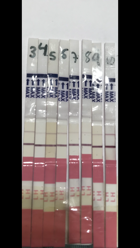 B9706E23-915C-426E-A196-4C1B4208322F