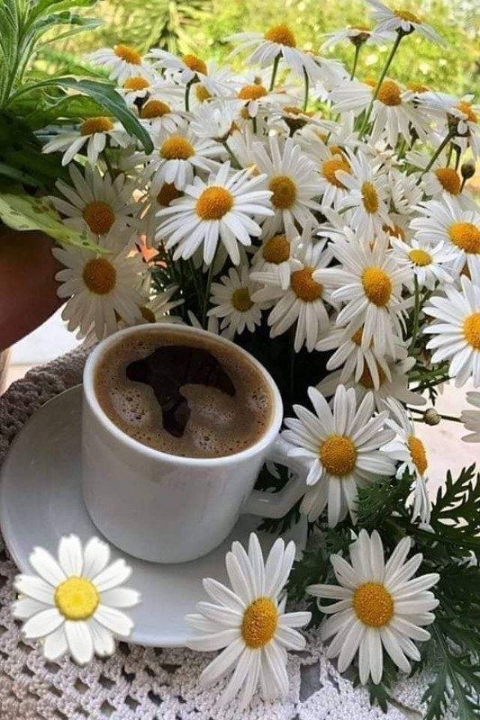 FB_IMG_1689051712671