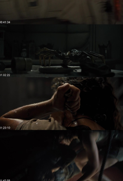 Screenshot-14.png