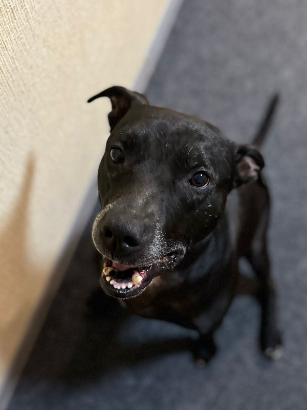 2422FE01-AC7E-4A78-B016-34BD5A644962