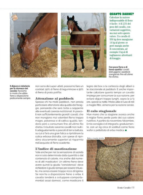 Il Mio Cav (Ott 2022) (12)