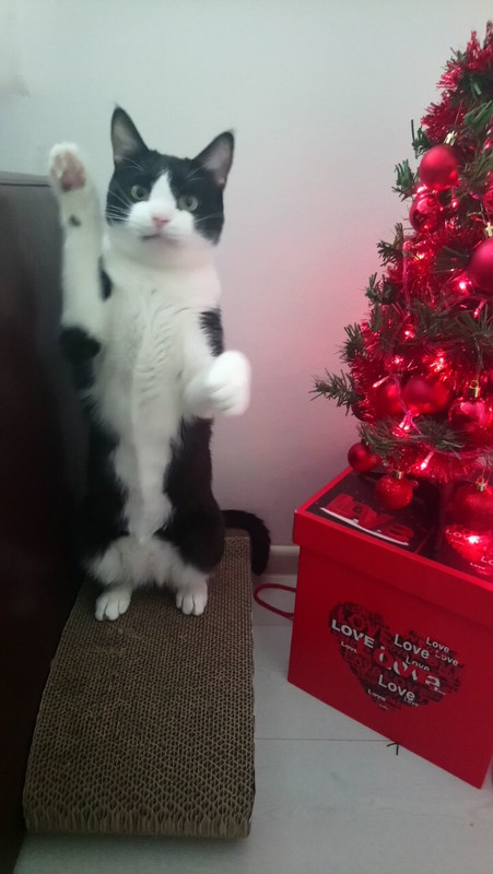 775A5D5D-713D-400A-9437-7EE975033B94