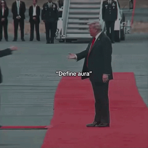 VID-20250816-155358-780.gif