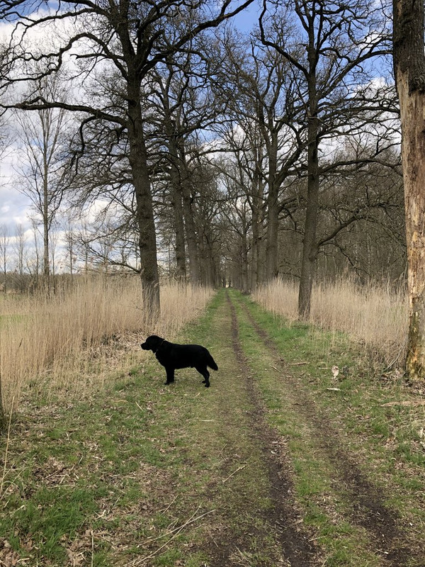 3E3127F3-34D6-48E8-8987-60B7B8BA0997