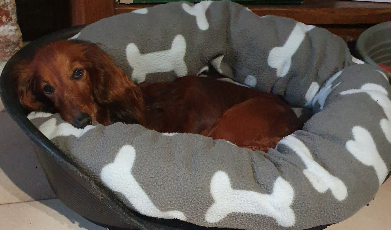 [Image: 20210116-204729.jpg]