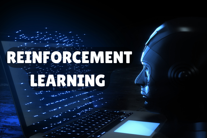 Which of the following are 5 main components of reinforcement learning