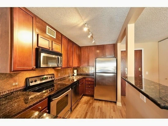 Lincoln Park kitchen before renovation