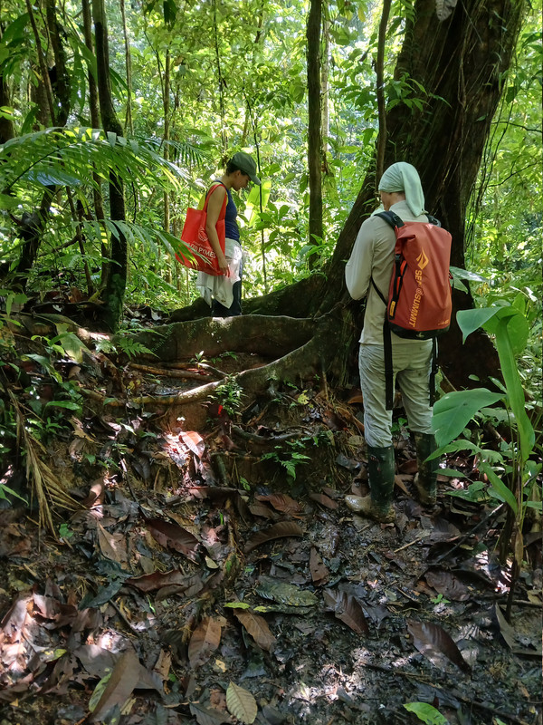 Fieldwork photo 3
