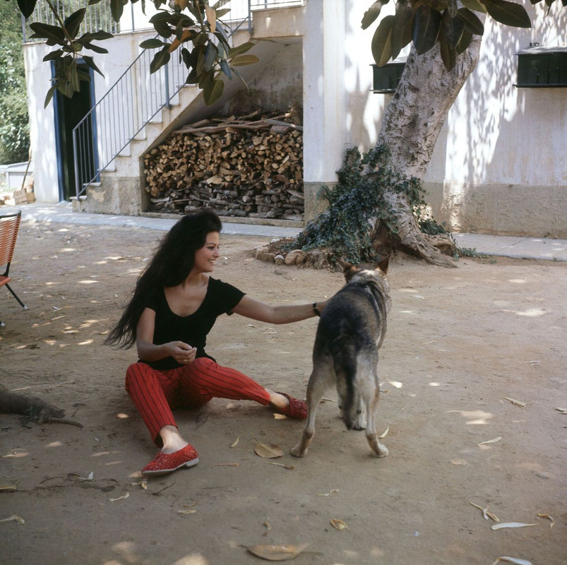 claudia_cardinale_mf62