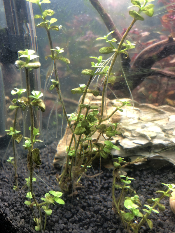 6B9A7255-EEAD-4EB1-97A1-C0BF3BAC3BE2