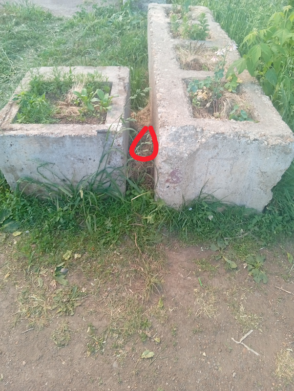 IMG 20260522 200018