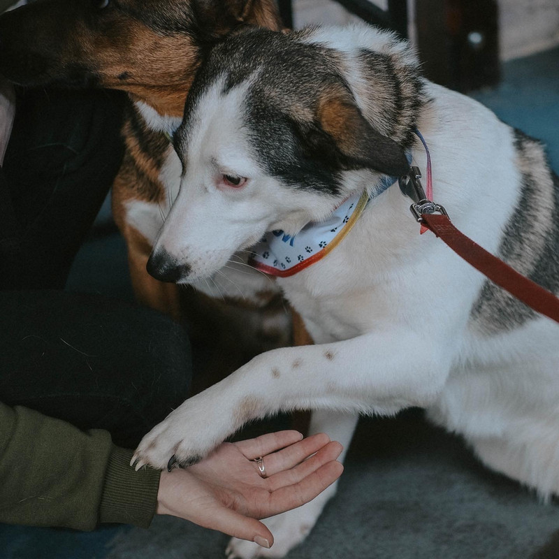 E1B8D68A-9A90-46A8-A637-90351624DE4D