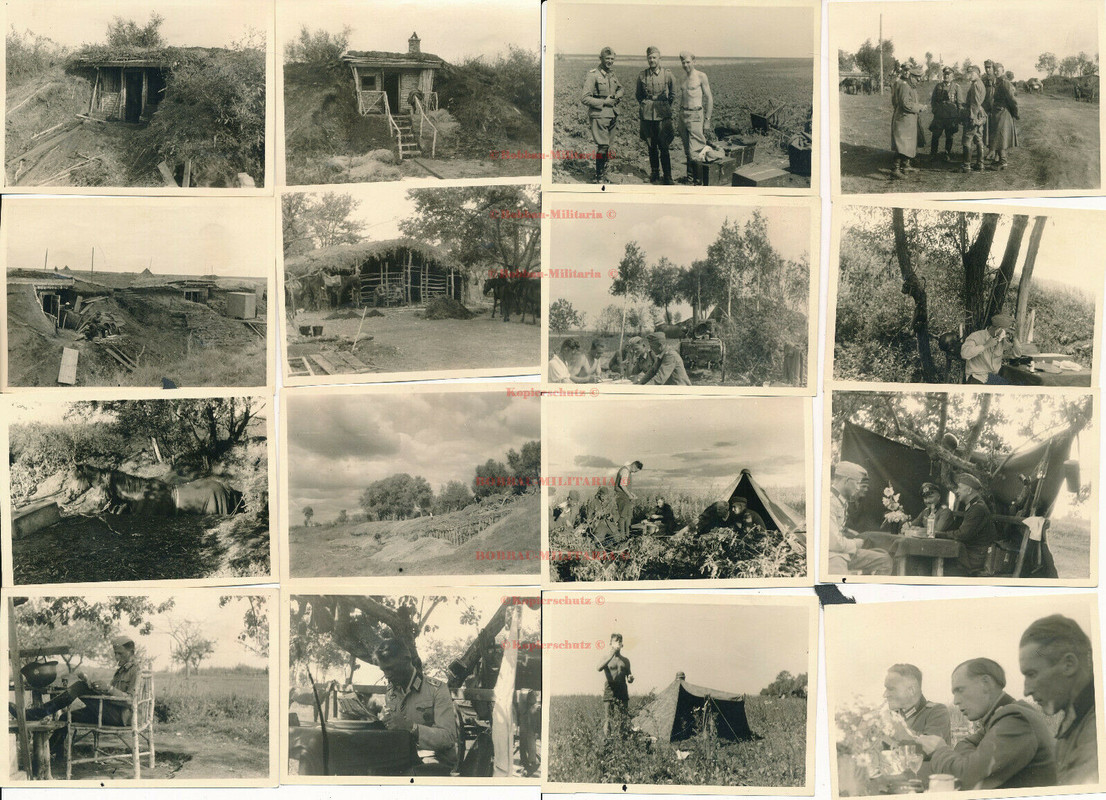 Russland GR.532 DON 1942 Front Bunker Stellung Veterinär Offiziere 383.ID