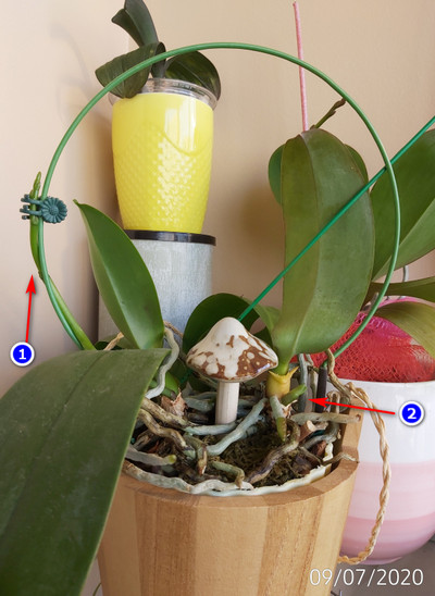 [Image: 2020-07-09-171013.jpg]