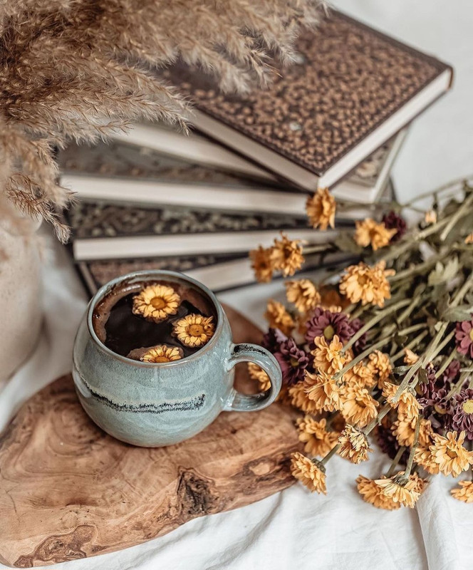 Screenshot_20240112_225907_Instagram