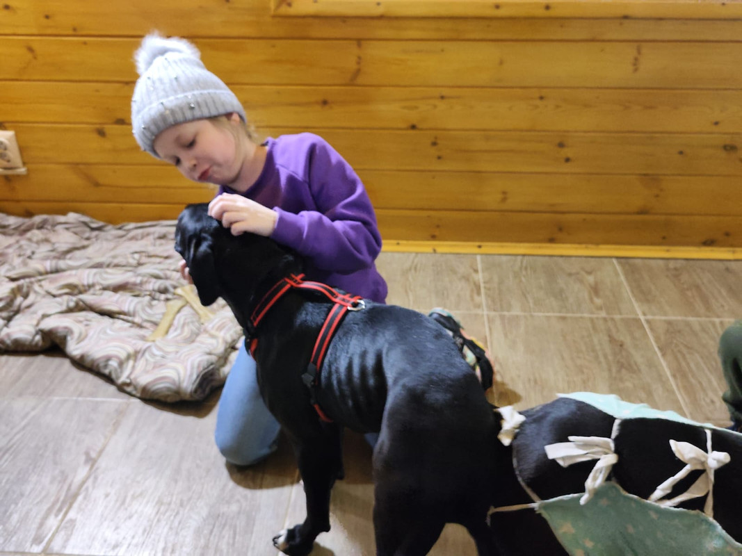 1BCAC47A-D16A-44C4-A80C-68A454F52168