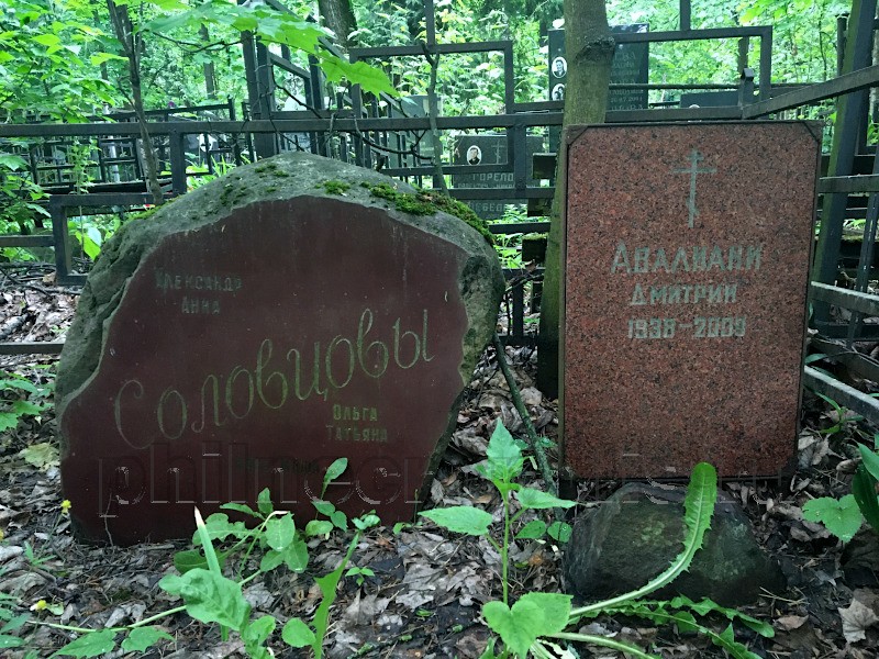avaliani4