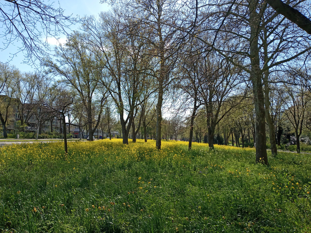 [Image: 20210426-155120.jpg]