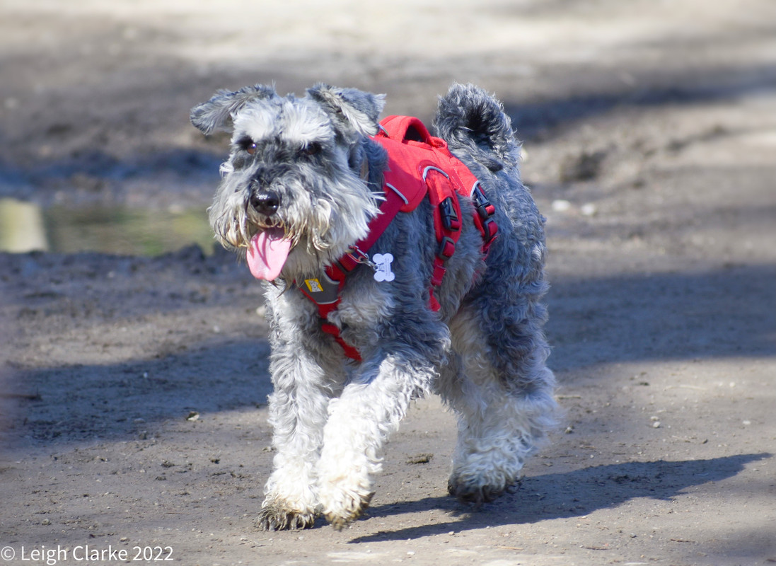 AD7669E0-84B0-4A6D-9827-5546ED29438D