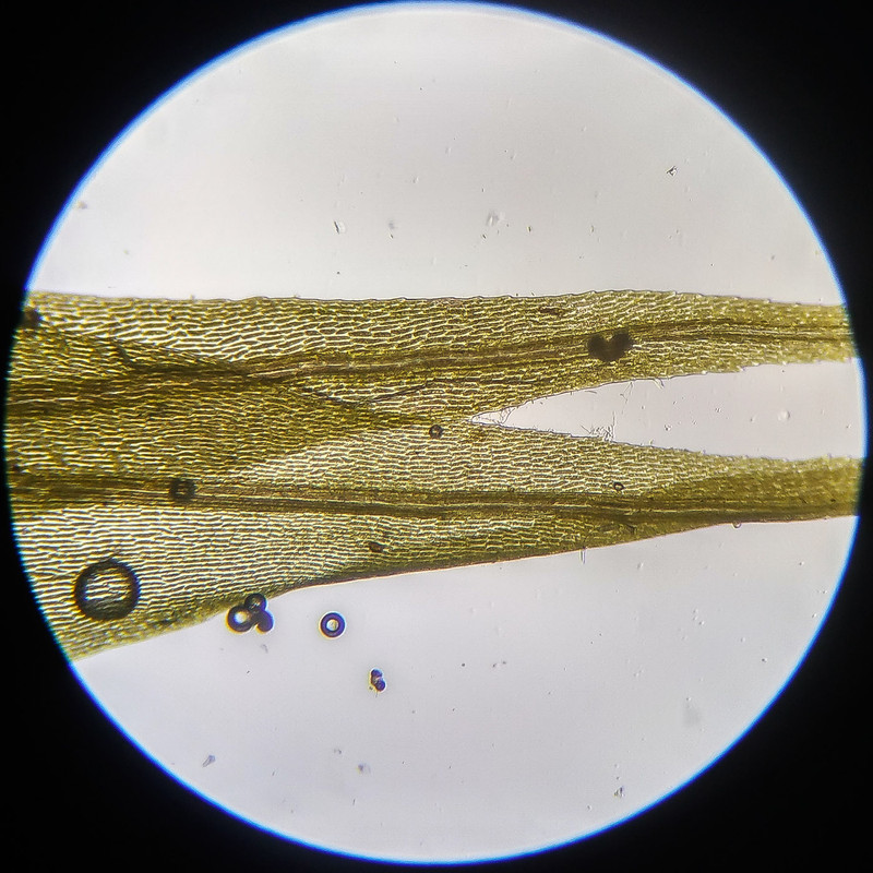 IMG 20250614 111149 HDR