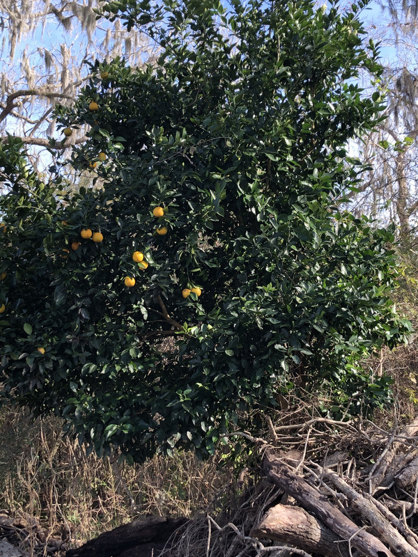 1CE55E5E-B2F8-4D8B-BB6A-70626138DE74