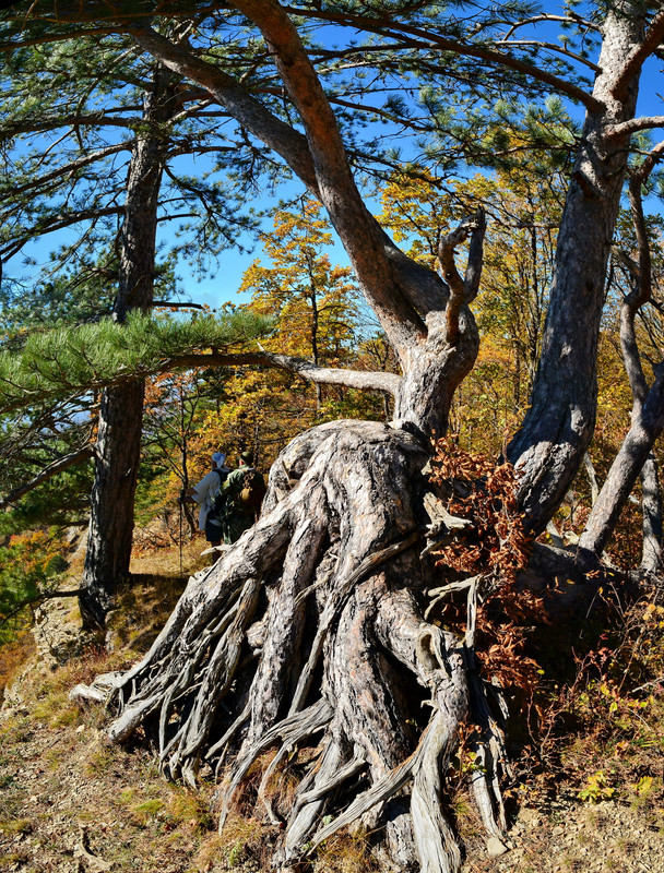 [ Group 12] DSC 8656 DSC 8659 4 images — Postimages