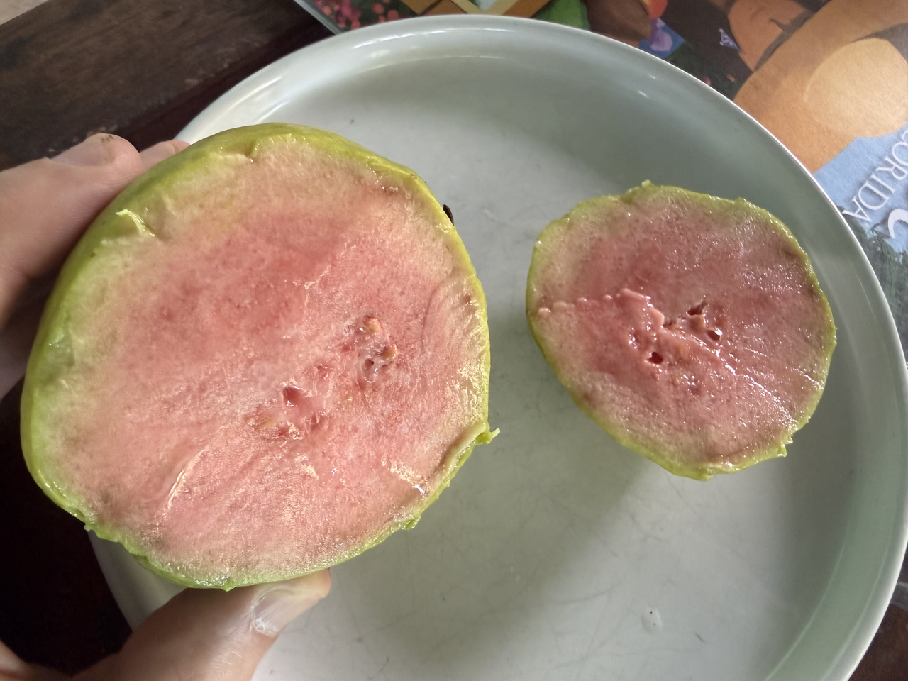 Guava Just Robs 5 26a
