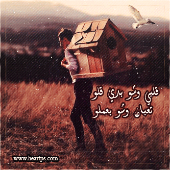 ���� ���� ������ �� ���� ������