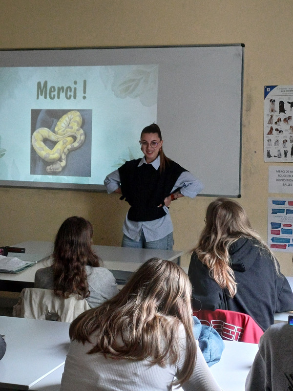 Ambiance 6
