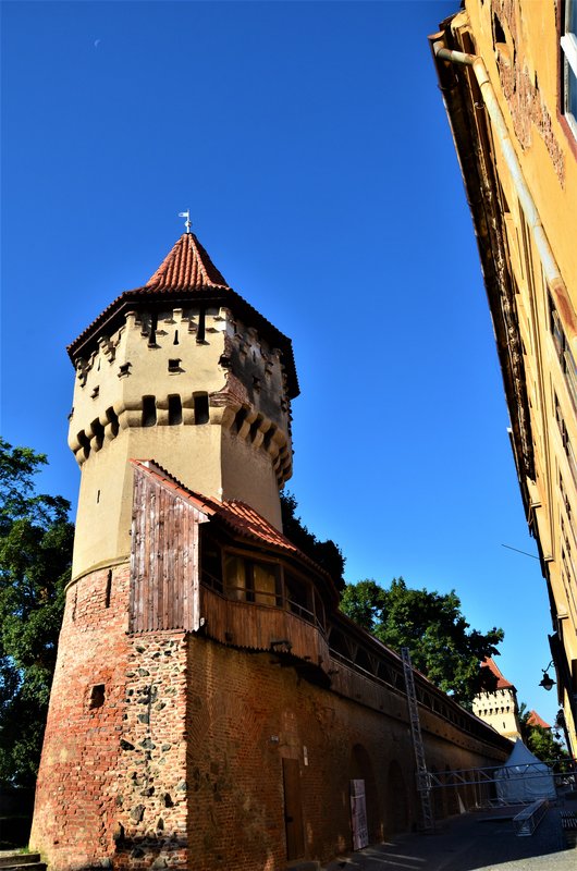 Sibiu-8-8-2015 - Rumanía y sus pueblos-2015 (22)