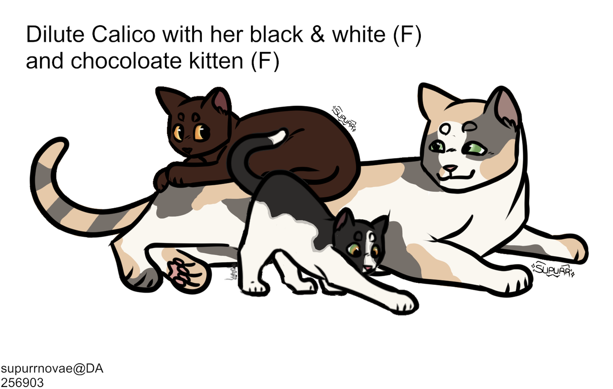Family.png