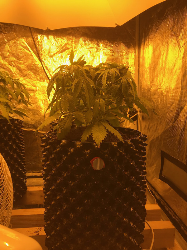 A80E942C-DB5B-45EB-970B-69227CDF8C18