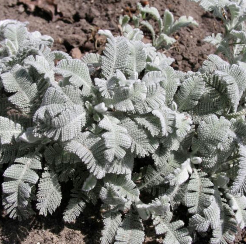 B628AD9A-69A1-4A0F-91D2-891E2A8360A0