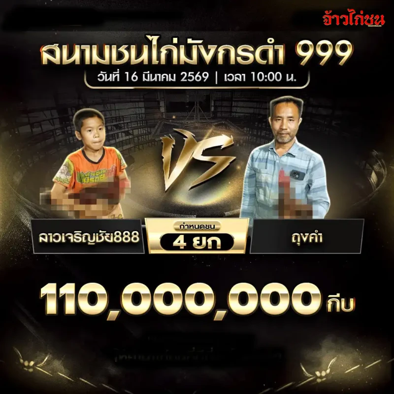 โปรแกรมไก่ชน คู่ลาวเจริญชัย888 พบ ถุงคำ สนามชนไก่มังกรดำ999 วันจันทร์ที่ 16 มีนาคม 2569
