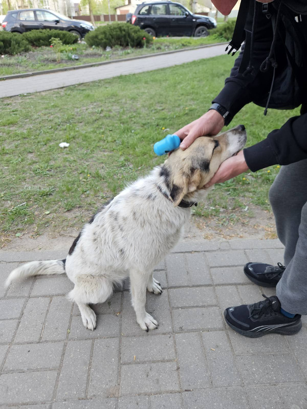 IMG-c633a94a8eb98025bbf8ddd02154a27e-V